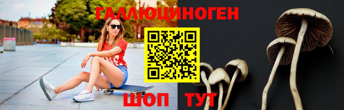 Галлюциногенные грибы прущие грибы  Вход с VPN  Галлюциногенные грибы прущие грибы  Симферополь 